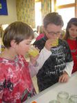 Hauptschule (21)
